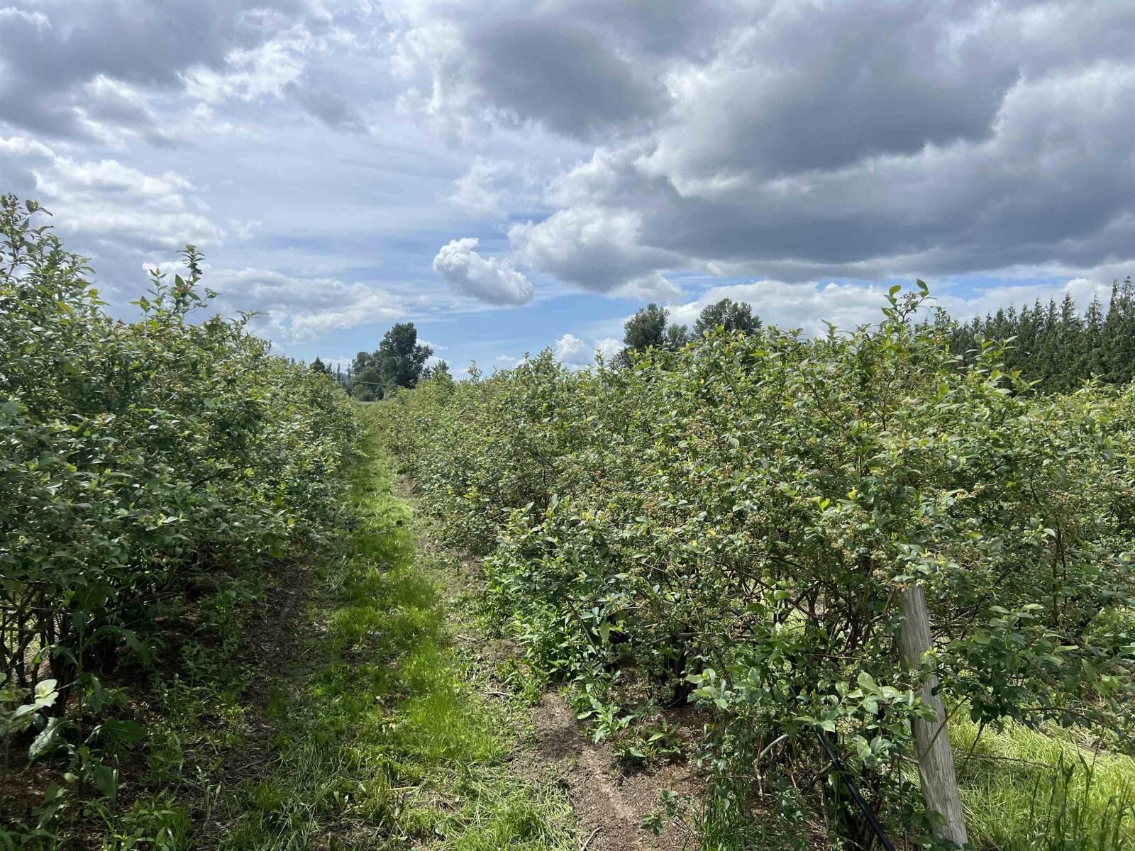 Property Photo:  9445 Catherwood Road  BC V0M 1H0 