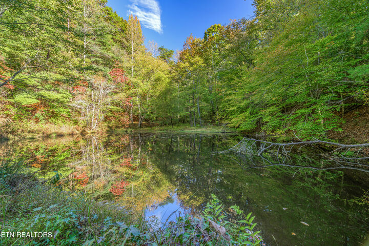 Property Photo: 130 Anderson Lane TN 37748