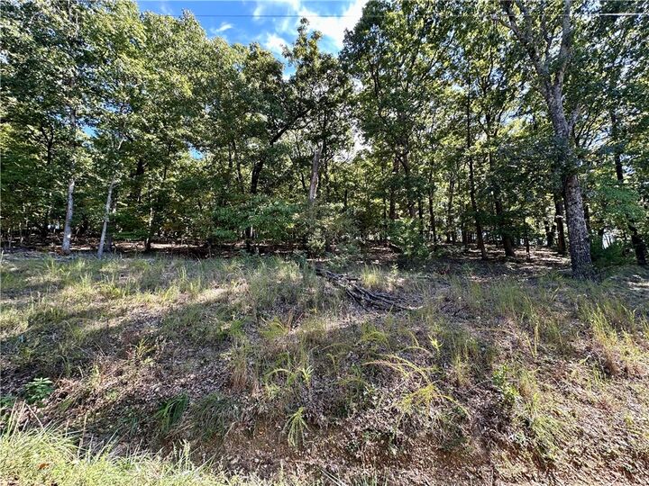 Property Photo:  Lot 6 & 7 Block 7 Arapahoe Drive  AR 72631 