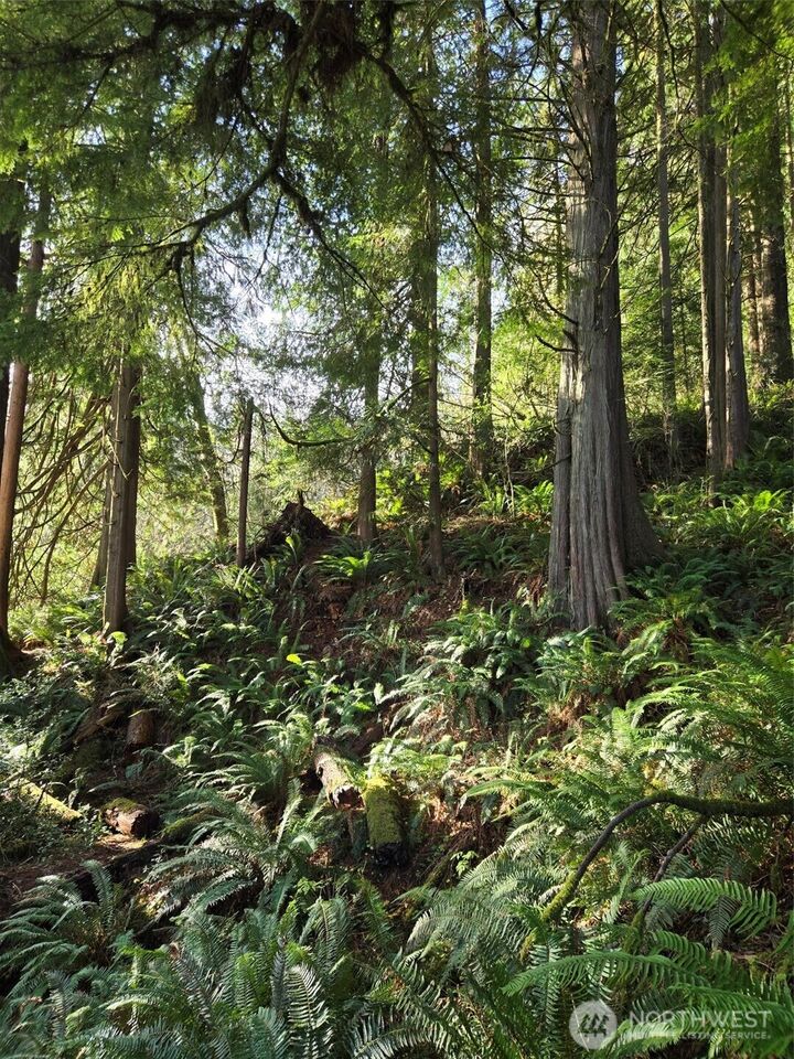 Property Photo: 0 Nka Kendrick And Wier Street WA 98586