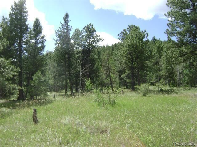 Property Photo: 1504 County Road 43 CO 80421