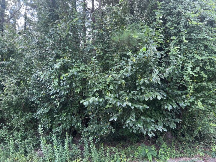 Property Photo: 4830 Ridge Street SC 29040