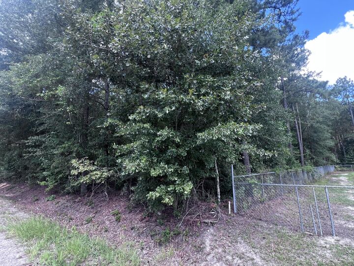 Property Photo: 1435 Woods Street SC 29153