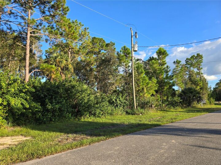 6012 Sara Avenue N  Lehigh Acres FL 33971 photo