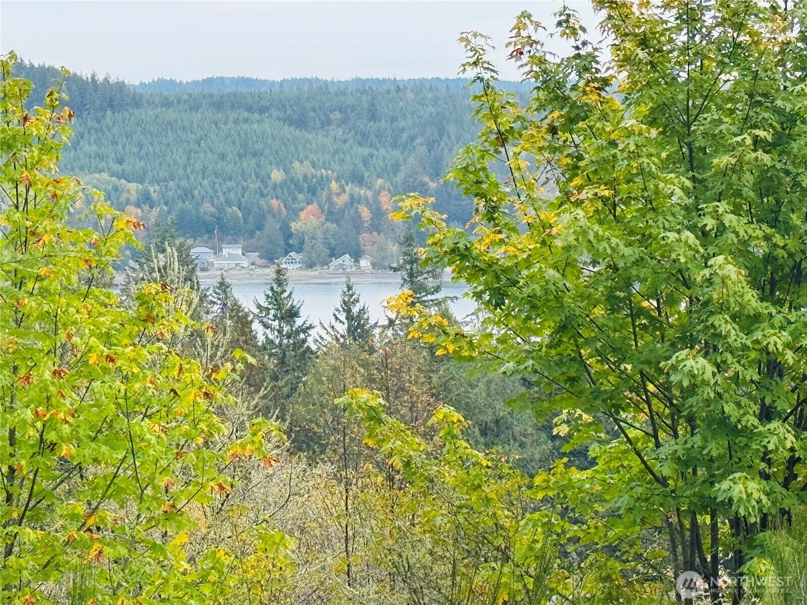 Property Photo: 181 E Rainier Court WA 98524