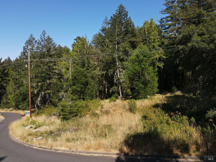 1 Meadow View Lane  San Geronimo CA 94963 photo