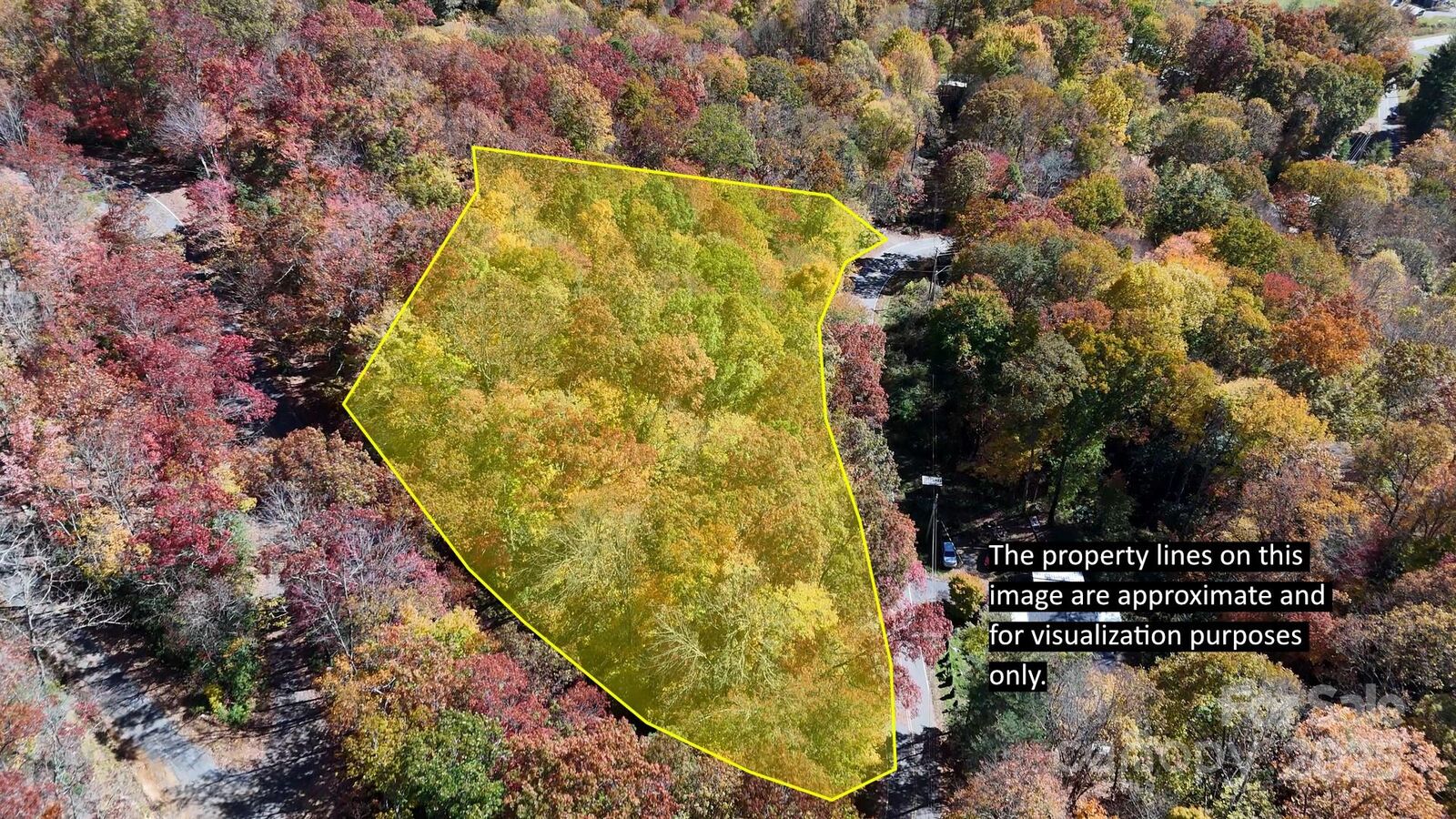 Property Photo: 000 Sheepback Mountain Road NC 28751