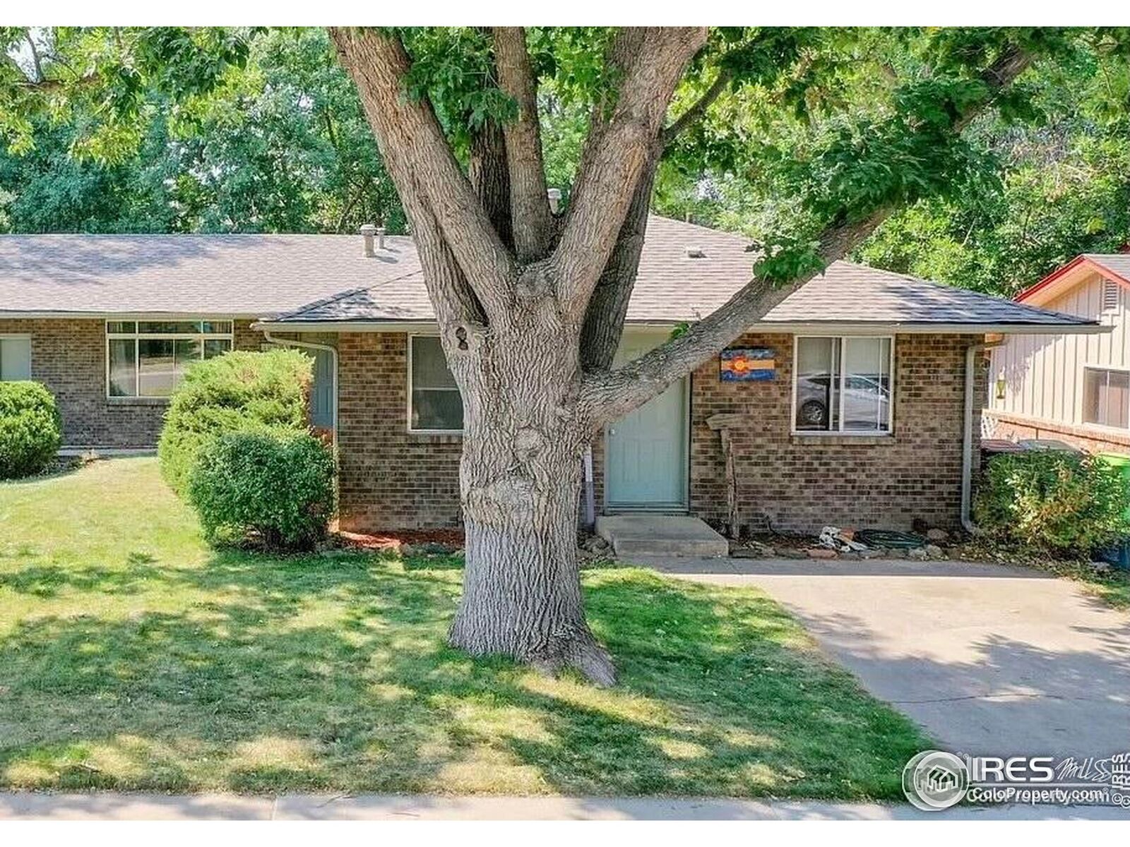 Property Photo:  1113 Cypress Dr  CO 80521 