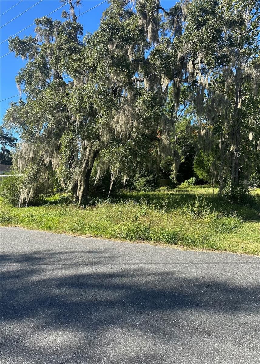 Property Photo:  Lot 8 NE 1st Street  FL 32696 