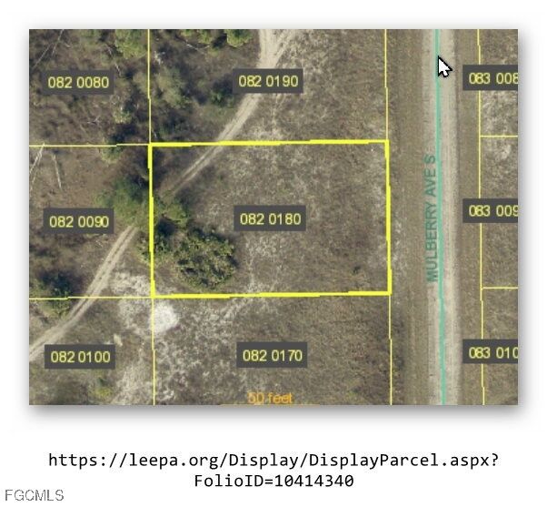 Property Photo:  650 Mulberry Avenue S  FL 33974 