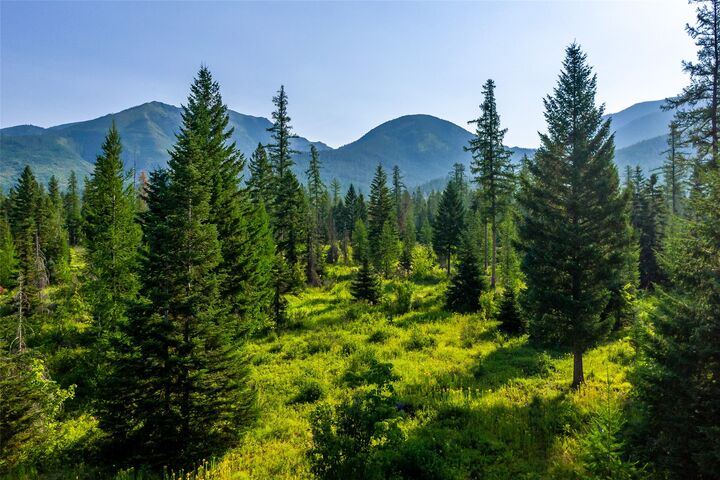 Property Photo:  Nhn Windhaven  MT 59911 