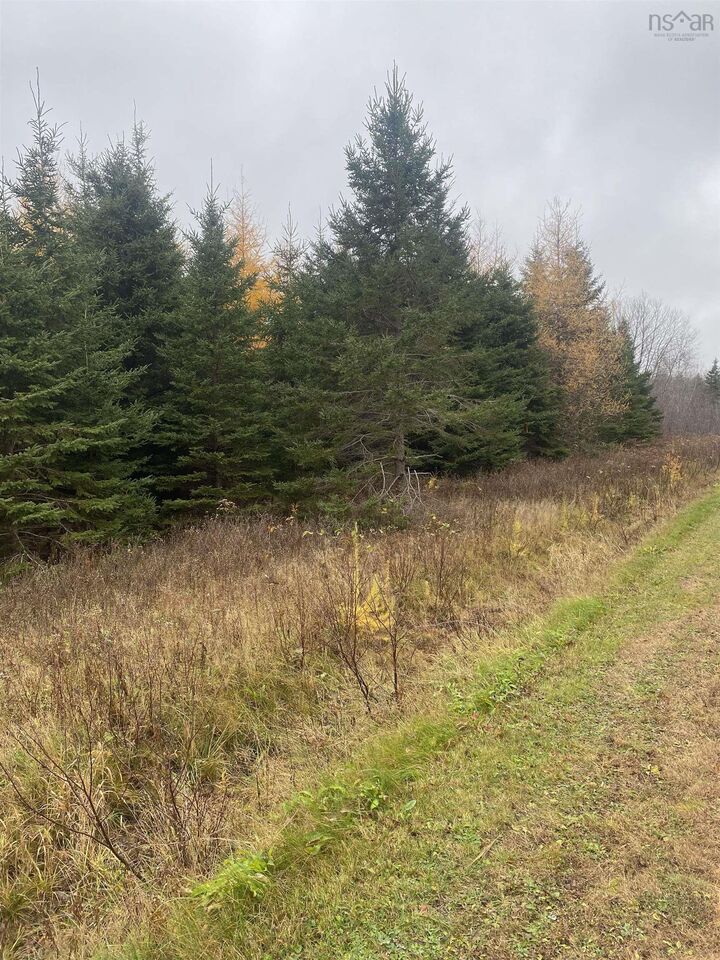 Property Photo:  Lot 7 New Cheverie Road  NS B0N 1E0 