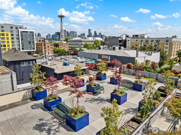 17 W Mercer Street 300  Seattle WA 98119 photo