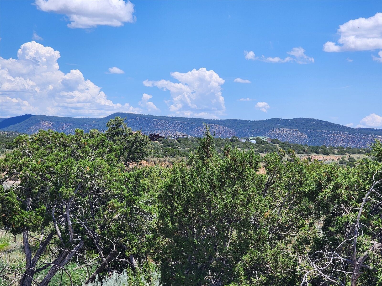 Property Photo: 24 Goathead Ct NM 87508