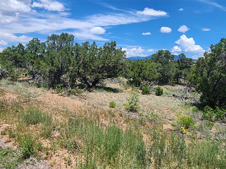 Property Photo: 20 Goathead Ct NM 87508