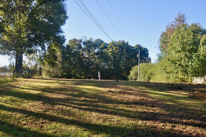 481 Co Rd 1122  Vinemont AL 35179 - VINEMONT photo