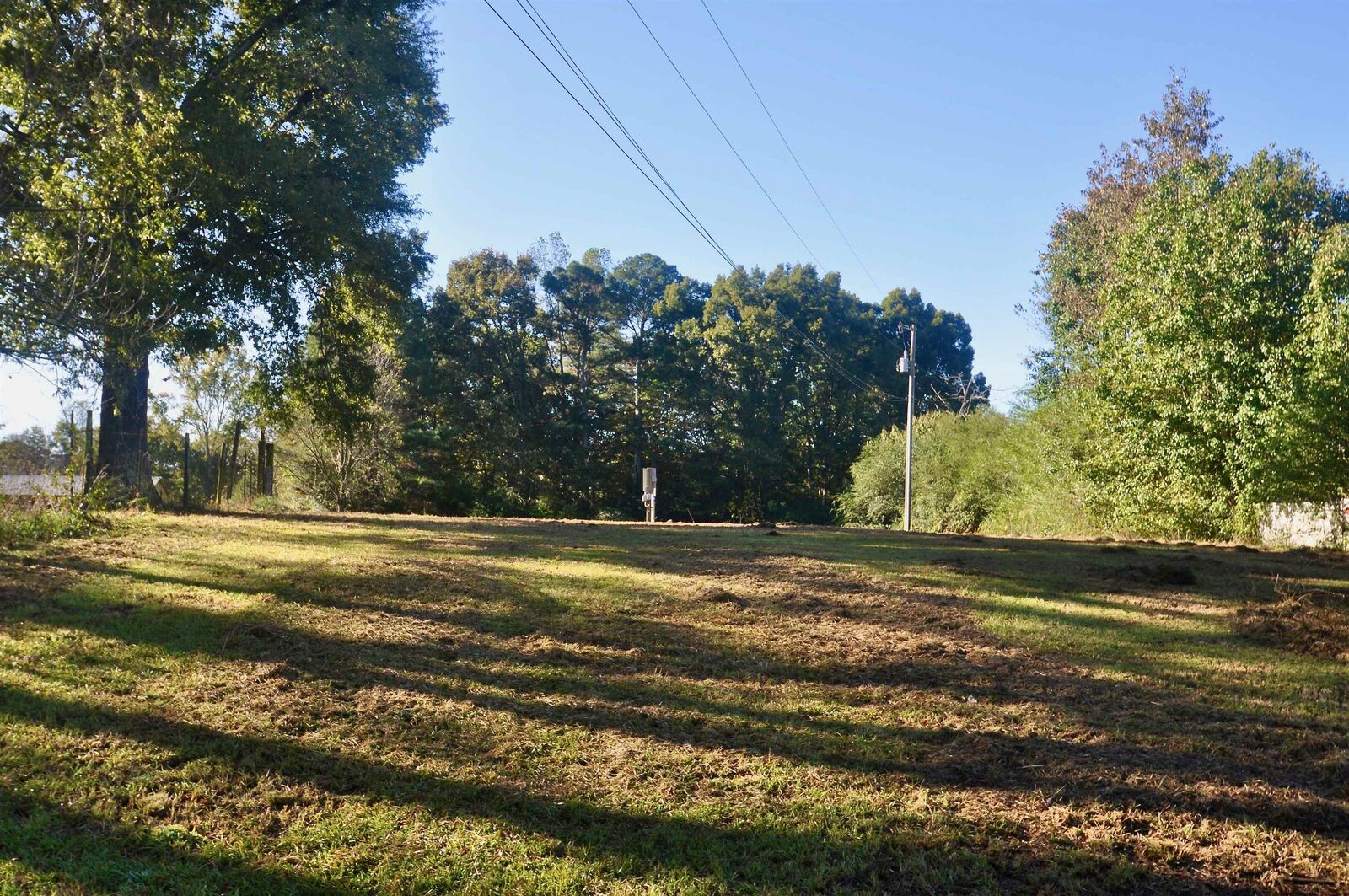 Property Photo:  481 Co Rd 1122  AL 35179 - VINEMONT