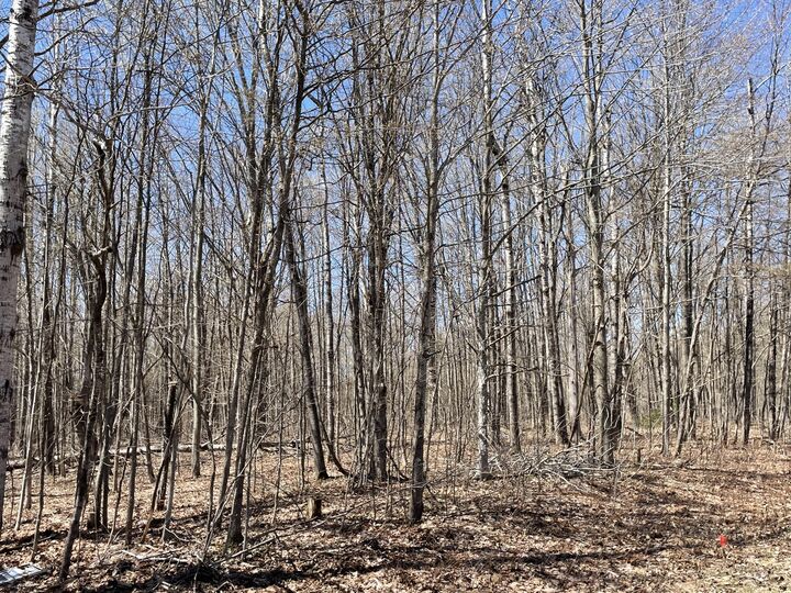 Property Photo:  V/L Lot 78 Montrose Drive  MI 49659 