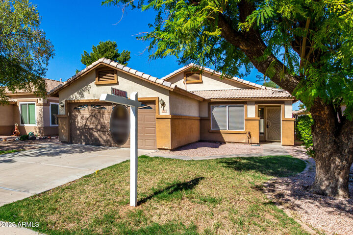 Property Photo:  146 W Dublin Street  AZ 85233 