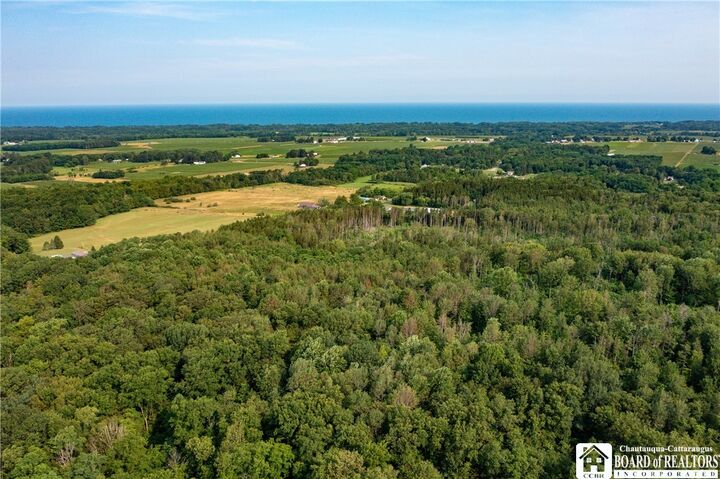 Property Photo: 8170 Campbell Road NY 14769