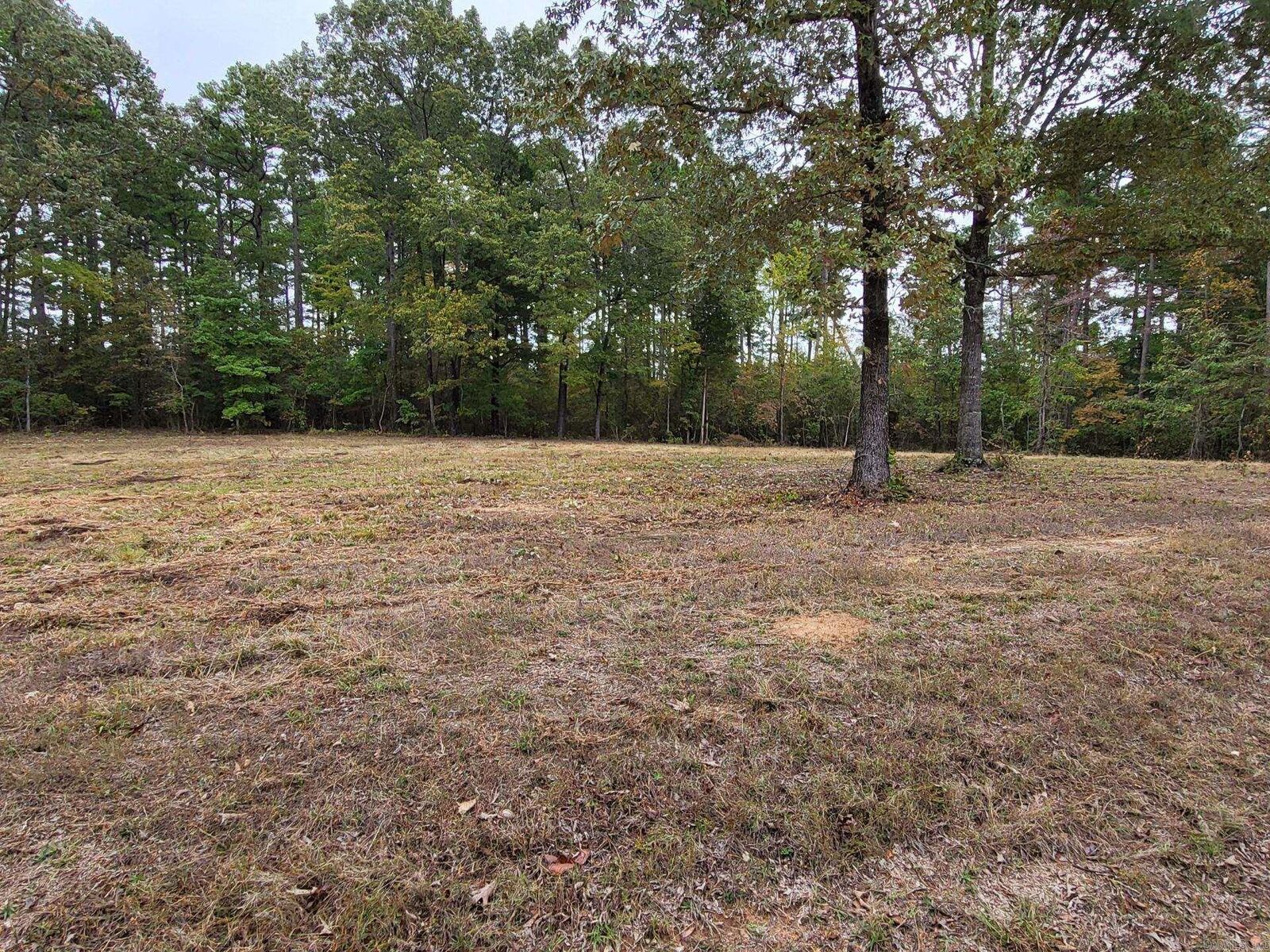 Property Photo:  Lot 52 Burning Tree Rd.  AR 72067 