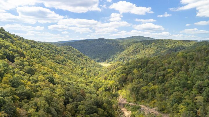 Ellison Ridge Rd  Jumping Branch WV 25969 photo