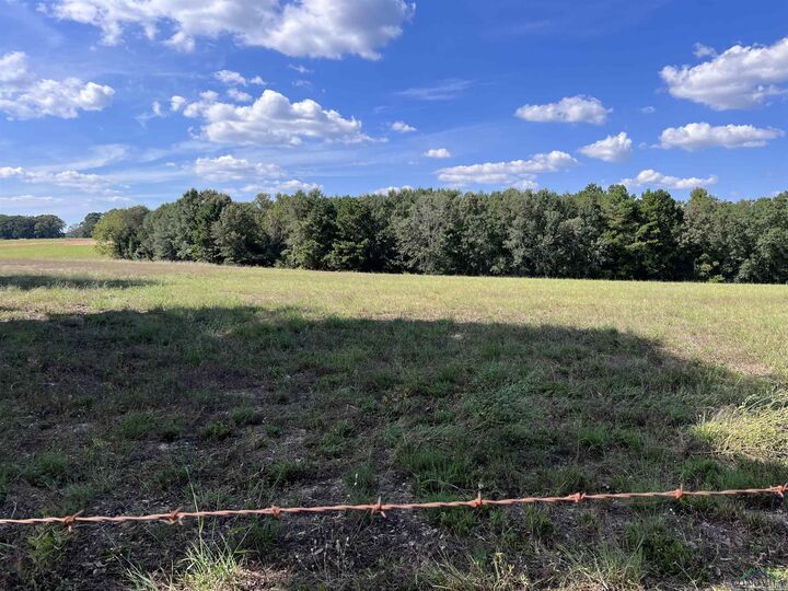 Property Photo:  Tbd Cr 409  TX 75654 