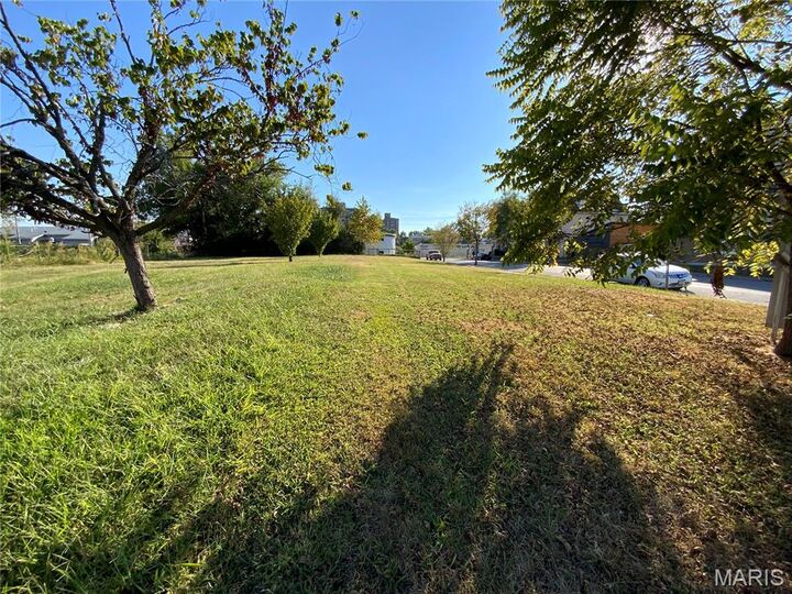 Property Photo:  528 N Newstead Avenue  MO 63108