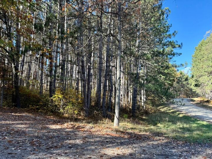 Property Photo: 12426 Lone Wolf Trail MI 49346