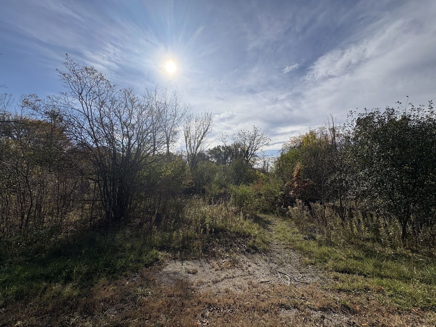 Property Photo: 1854 Checker Road IL 60047