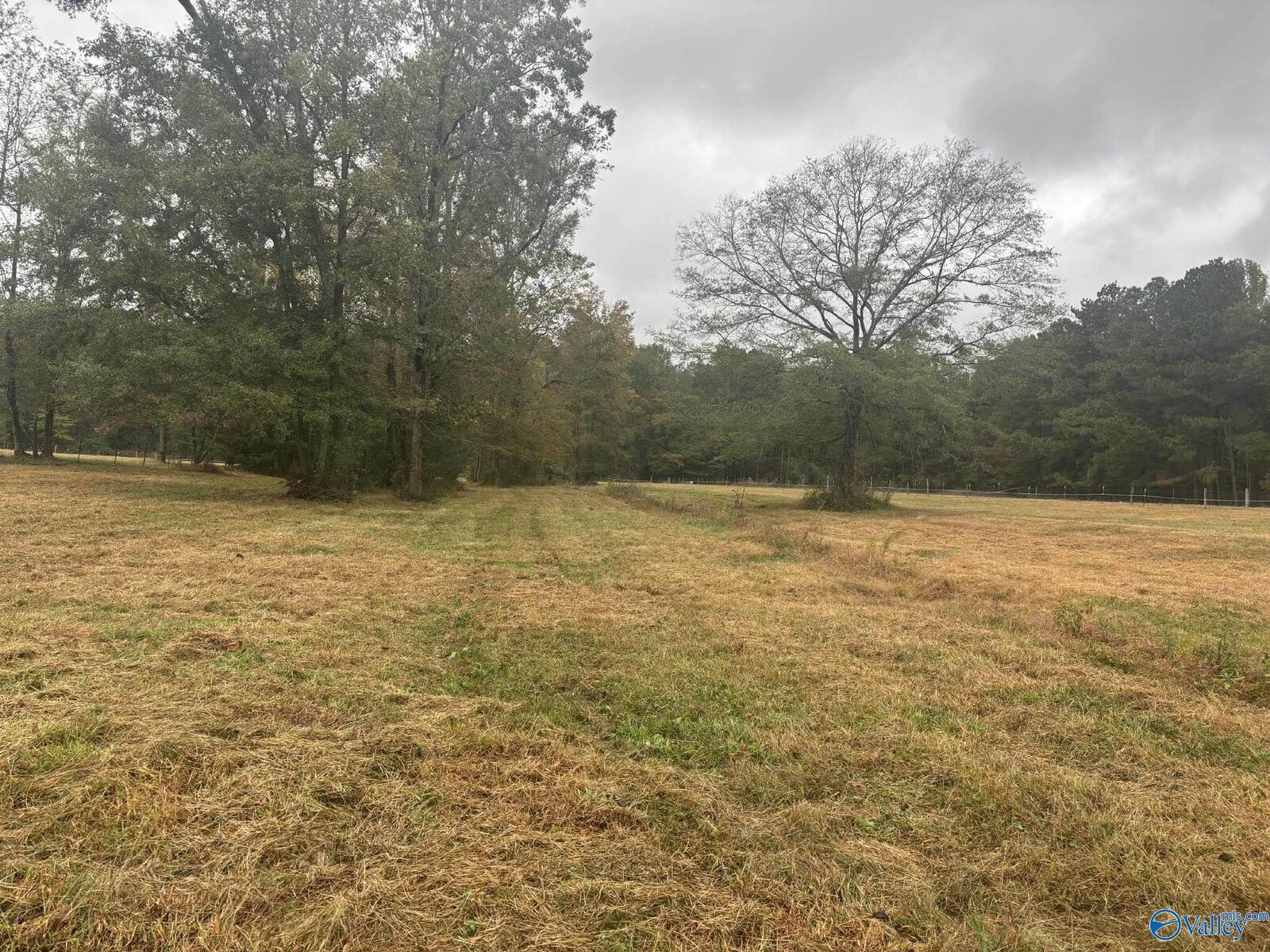 Property Photo:  8 Acres County Road 301  AL 35673 