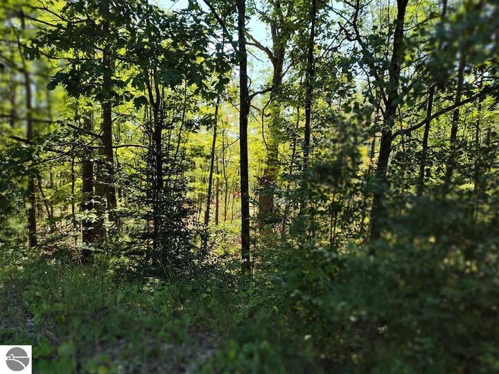 Property Photo:  N Circle E  MI 48622