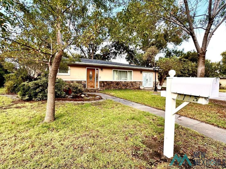Property Photo:  1115 N Ural Drive  NM 88220