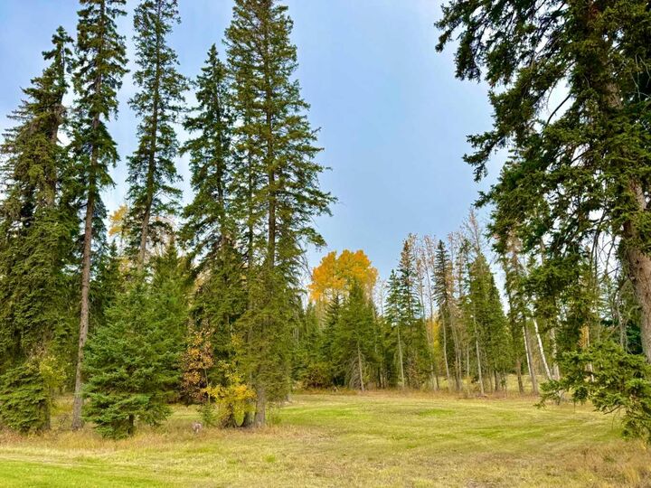 Property Photo: 202 Meadow Ponds Drive AB T4T 1A7