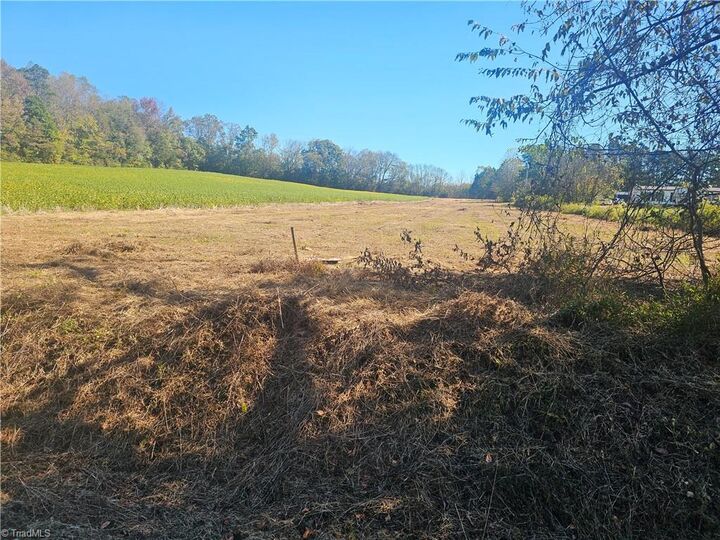 1023 Mount Vernon Road  Woodleaf NC 27054 photo