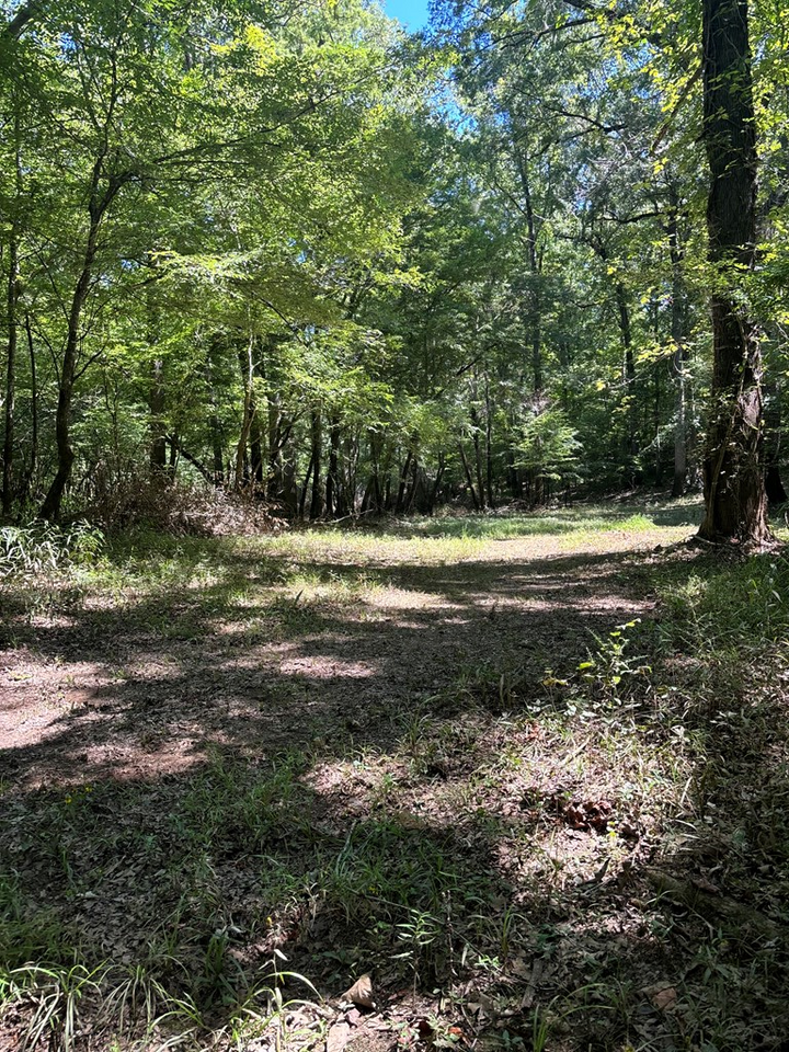 Property Photo: 219 Chestnut Dr GA 31077