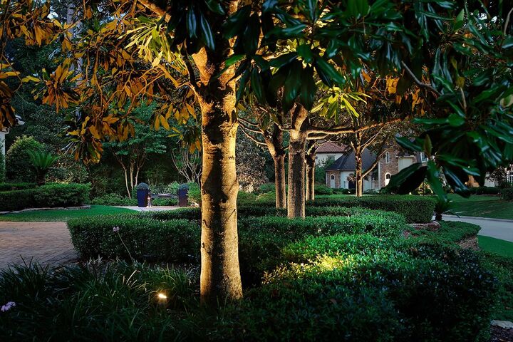 Property Photo: 14 N Palmiera Circle TX 77382