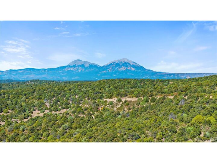 Property Photo: Tollerburg Rd CO 81082