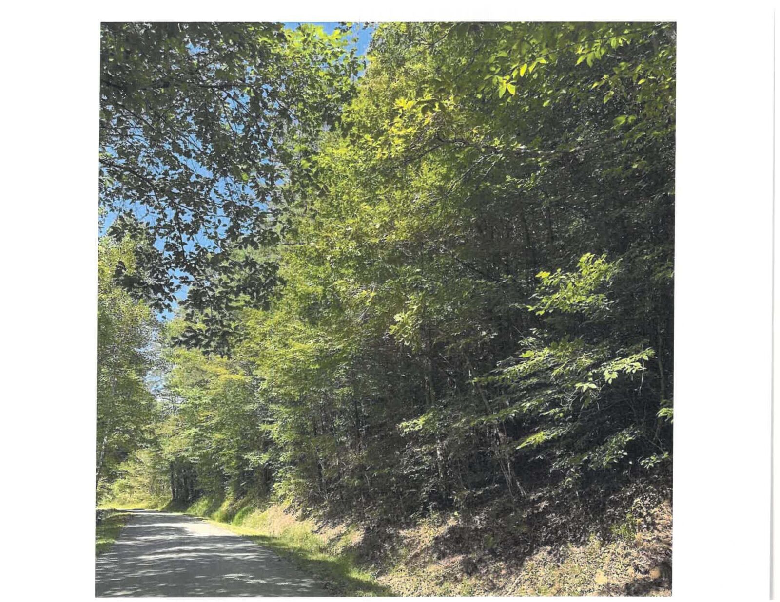 Property Photo:  736 E Cave Branch Road Branch  KY 40962