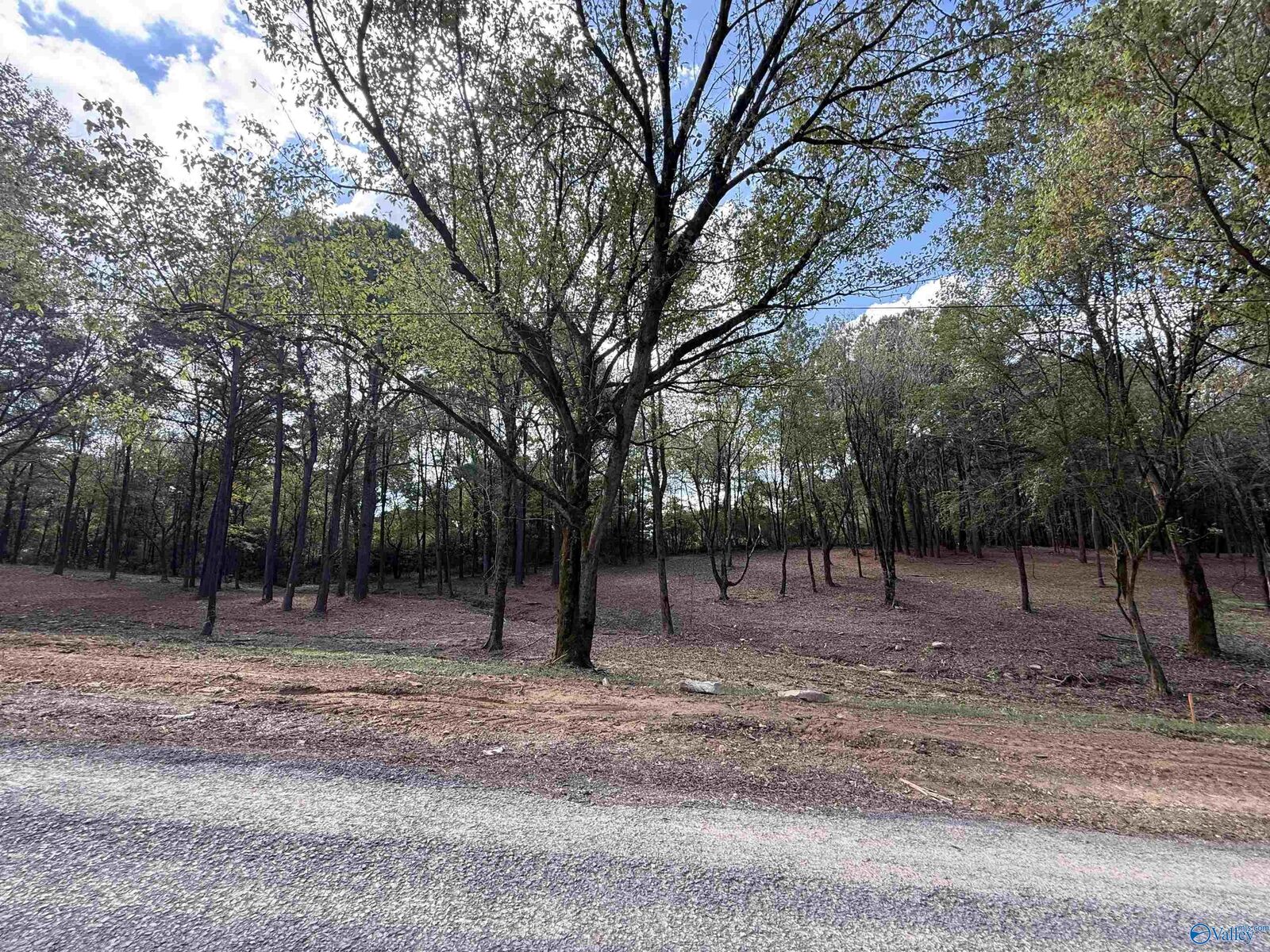 Property Photo:  #1B County Road 1123  AL 35179
