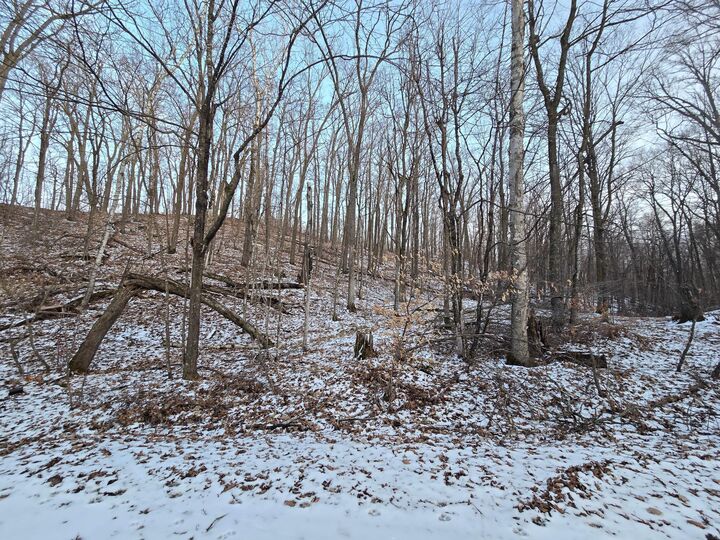 Property Photo: Lot25blk1 Westward Ho MN 56450