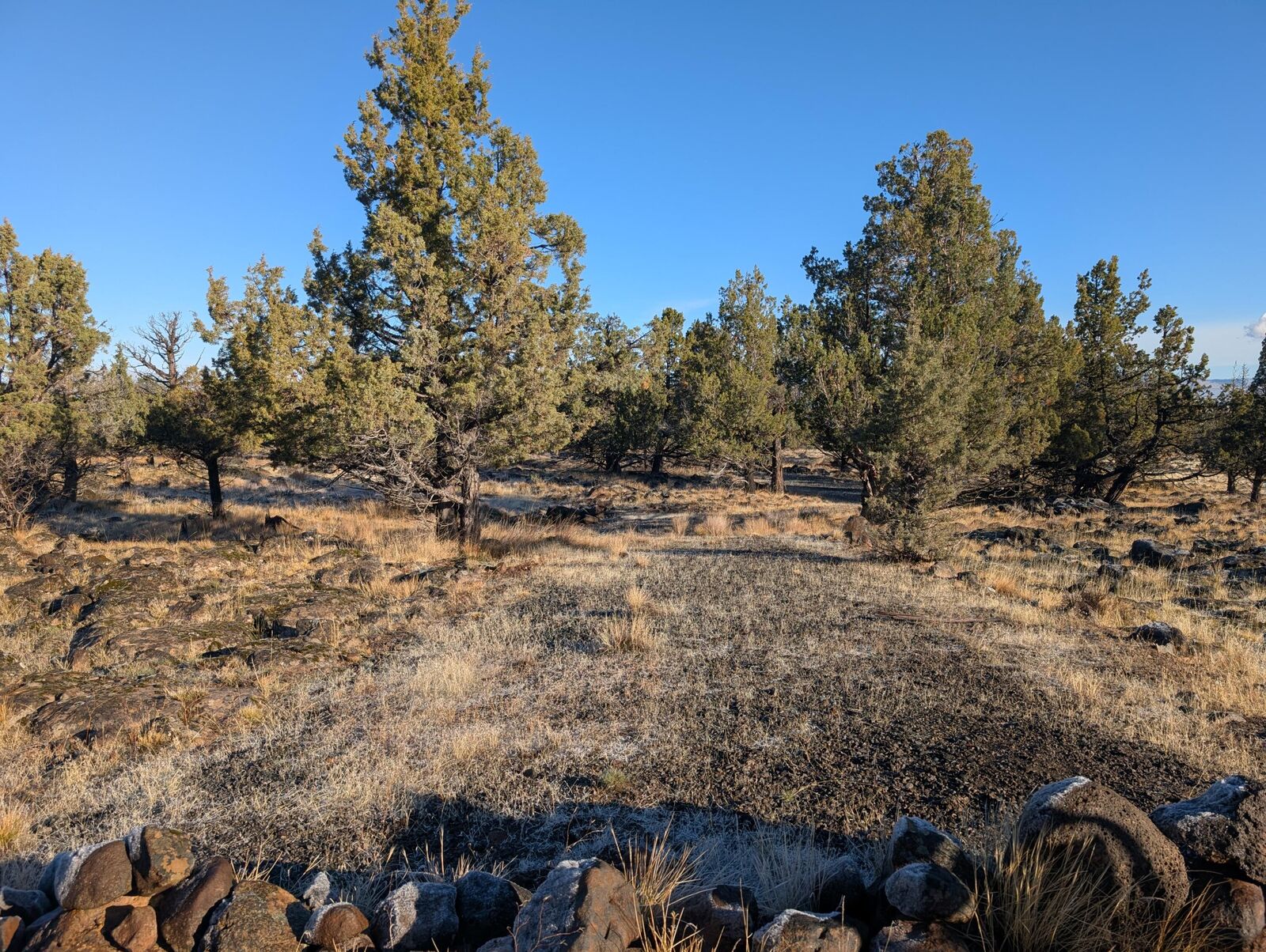 Property Photo:  Cedar Trails Lot 3  OR 97603 