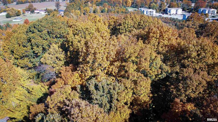 Property Photo:  Tbd A Pin Oak Street  IL 62918 