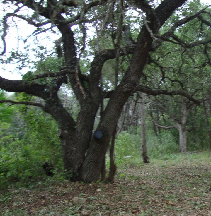 Property Photo:  11112, 11106 Travis Drive  TX 78645 
