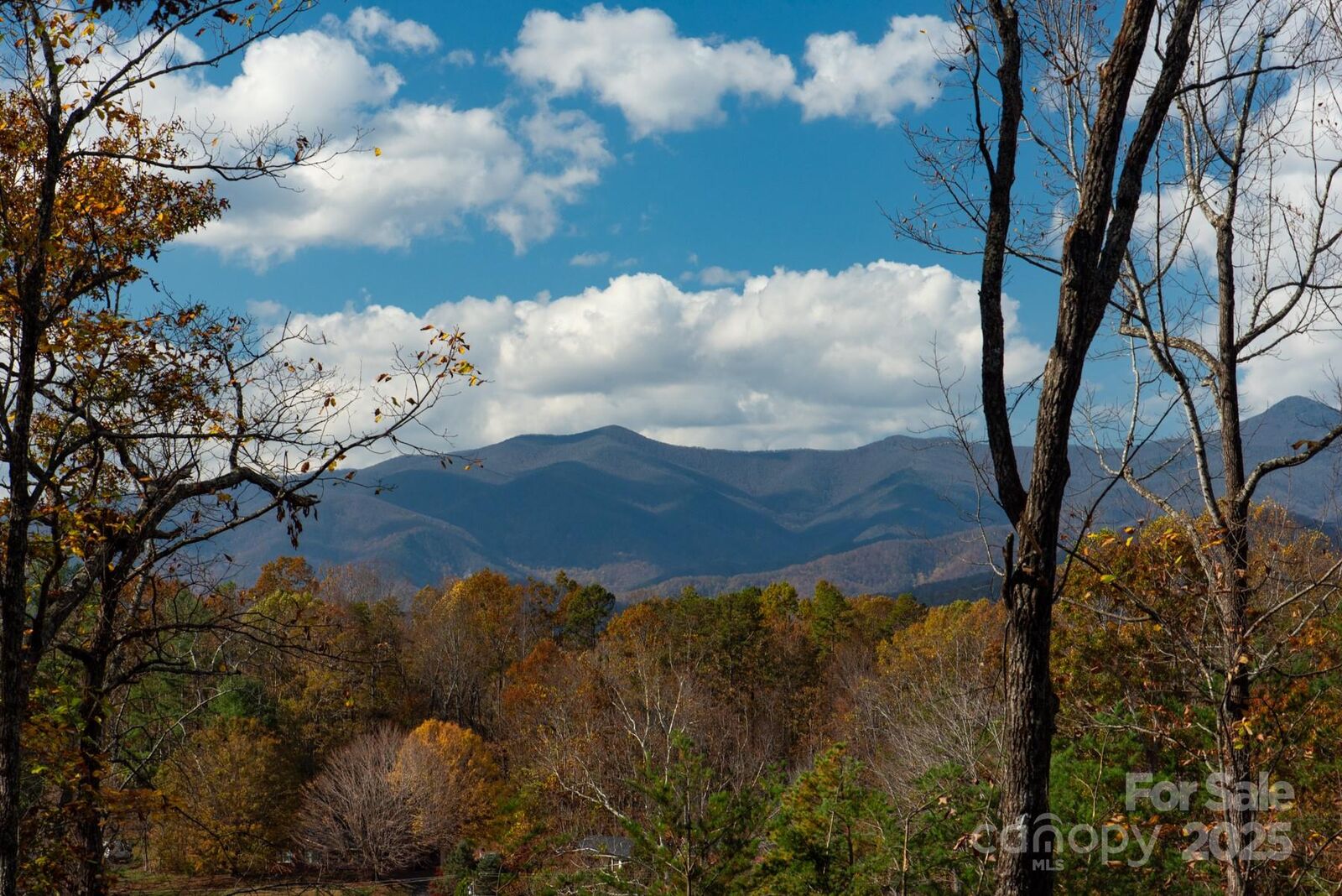 Property Photo:  154 South Slope Lane 18  NC 74848 