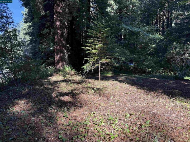 Property Photo:  1445 Austin Creek Rd  CA 95421