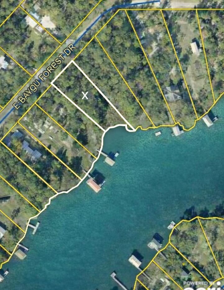 Property Photo:  Lot 25 E Bayou Forest Drive  FL 32439 