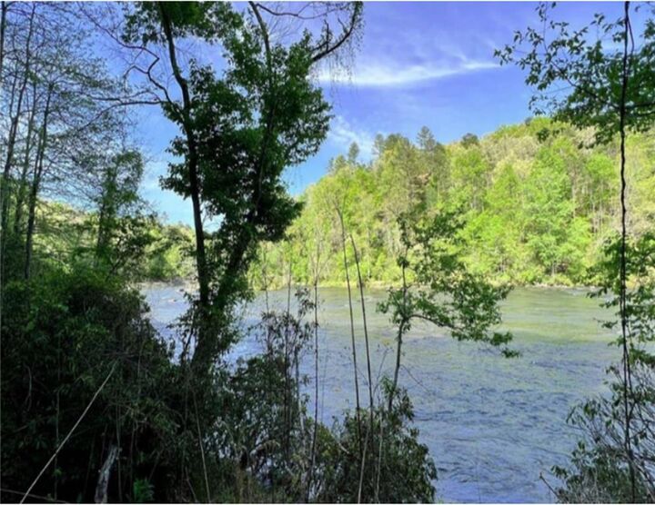 Property Photo: 0 Riveredge Lane GA 30540