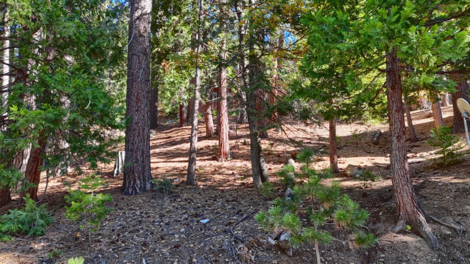 Property Photo:  7232 Yosemite Park Way  CA 95389 