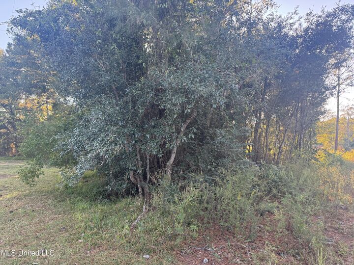 Property Photo:  0 Eve Street  MS 39576